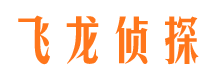 宁武飞龙私家侦探公司